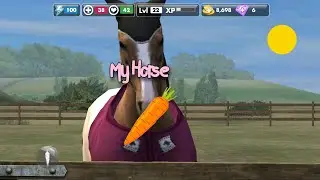 My Horse App
