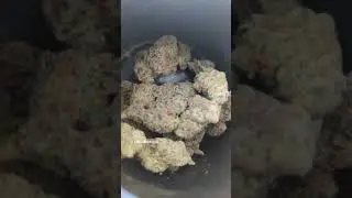 BIG NARSTIE - GLITTER BOMB