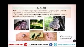6 06 031 Java 16 Biologji nd&euml;rveprimet mes qenieve t&euml; gjalla dhe nisha ekologjike