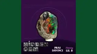 Hidden Gem (feat. Lil B)