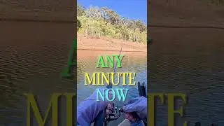 This Is The Easiest Way To Catch Bass
