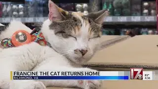 Francine the cat returns to her home Lowe's