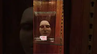 Mutter Museum #horrify #scary #horrorstories #trending #viral #shorts