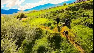 Pets 🐕 FPV