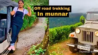 Munnar / off road trekking & jeep drive/ Muthan mudi view point / cardamom plantation/Bracknell 🌳
