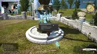 в 2020 решил поиграть в Final Fantasy XIV.