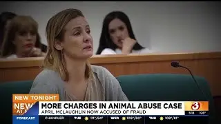 Accused animal hoarder in Chandler indicted on fraud charges