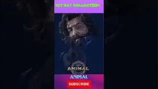 ANIMAL 2023 MOVIE 1ST DAY COLLECTIONS