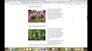 Iaso tea original состав чая для похудения от компании Total Life Changes