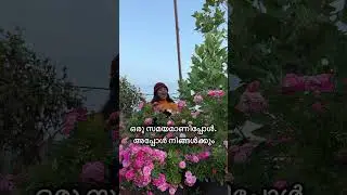 🌿 For those who love plants&hellip;want income from plants / Plant business start up kit