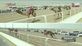 ش4 أصيل لـ هجن الشحانية - مهرجان سمو الأمير 12-3-2023م الخنجر الذهبي ثنايا قعدان عمانيات 11:58:26