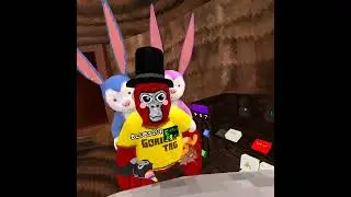 I play with Blu 12 VR ￼