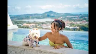 PET FRIENDLY SAMUI : PRIVATE POOL VILLA