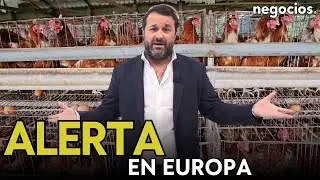 La gripe aviar pone en alerta a Europa: subida de precios masivas y riesgo de contagio a humanos