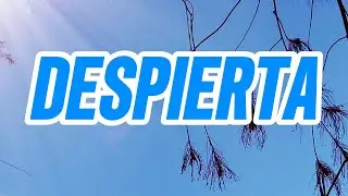 Apocalipsis 3:20 NTV »¡Mira! Yo estoy a la puerta y llamo. Si oyes mi voz y abres la puerta,