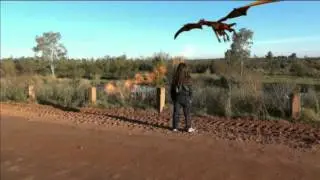 El Drag&oacute;n de Treinta y Tres