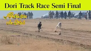 Dori Track Race Dadhocha | Semi Final | 16-01-23 | SP Studio 216  Mob 0321-7733216