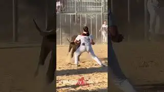 #Bullfighting#SpanishBullfight#Matador#SpanishCulture#SpainTradition