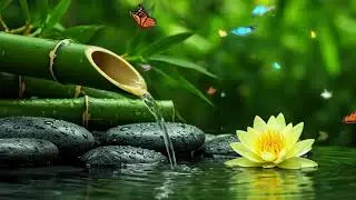 Serene Sounds for Anxiety & Stress Healing &ndash; Deep Sleep & Mindful Meditation Music