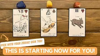 This is Starting Now For You! |Timeless Reading