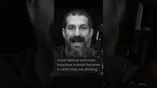 Andrew Huberman Speech on Alcohol 💬 #powerminds #andrewhuberman #alcohol #motivational #wisdom #mind