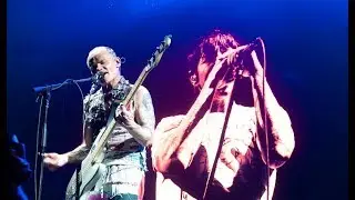 Red Hot Chili Peppers Auto-Tune on Live Vocals