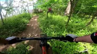 Caumsett 5.31.20 Long Island Trail Highlights