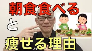 【エビデンスで見る朝食】朝食食べると痩せる理由