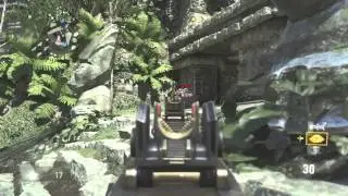 Ameli Heavy Silenced is Beast! Why Are LMGs Underused in AW? (Call of Duty advanced Warfare)