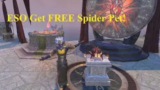 ESO Получите бесплатного питомца Imperium Spider