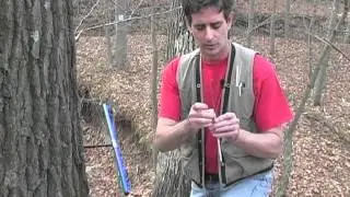Tree Coring Part 3