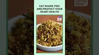 Eat Shark Fish Protect Your Heart Healthy | Fishery news