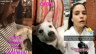 Sophia Bush with her dog Frankie on Snapchat | Ft Marina Squerciati | February 22 2017