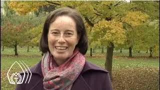 Zeugnis Sr. Mar&iacute;a Carolina - Sch&ouml;nst&auml;tter Marienschwester - Chile