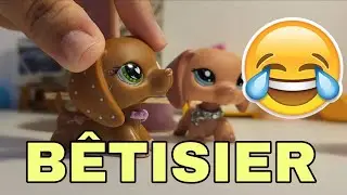 🤣BÊTISIER PETSHOP🤣[ÉDITION 2025 SPÉCIAL LPSTUBE]