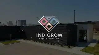 IndiGrow Tours Promo Video