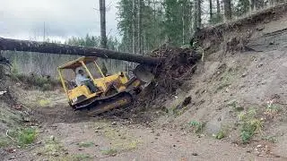 Pacific Northwest Flooding | Permaculture 4 Life ep 8 | North Fork Toutle River | D4 Cat Rescue #d4