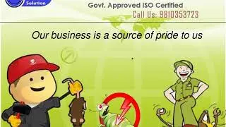 Best Pest control Gurgaon