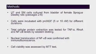 #369 NERVE GROWTH FACTOR PRECURSOR (PRONGF) EXERTS DIFFERENT BIOLOGICAL ACTIONS ON UROTHELIAL AN...