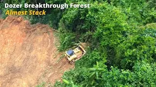 How Extreme The Dozer Breakthrough Forest