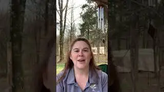 Day 7 self compassion letter