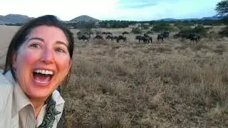 Afternoon Safari from Sanctuary Kichakani  to the Hippo Pool