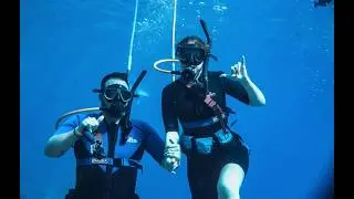 Snorkeling with Turtles & Haleakala Sunset | Maui