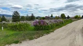 NHN Cougar Lane- Stevensville, Montana