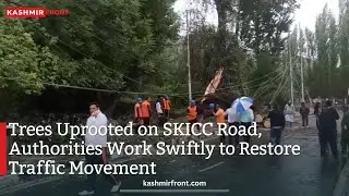 Trees Uprooted on SKICC Road, Authorities Work Swiftly to Restore Traffic Movement