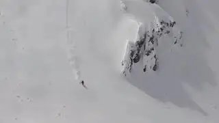 Heroes and Survivors: Avalanche Survivor