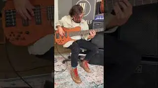Fodera Imperial Elite 5-String Bass & Trickfish Bullhead 1K Demo #fodera #bassguitar #bassplayer