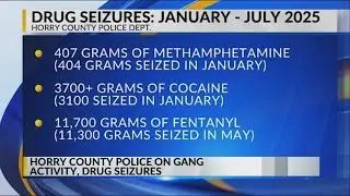 Horry County police chief warns parents as gangs attempt to recruit young kids