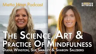 Sharon Salzberg, Diana Winston & Sue Smalley - Metta Hour Podcast Ep. 200