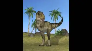 Dbvc